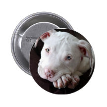 Pup Buttons