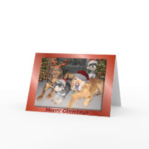 Pup Merry Christmas Greeting Card