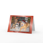 Pup Merry Christmas Greeting Card
