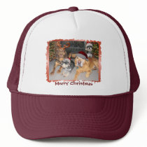 Pup  Merry Christmas Hat