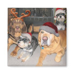 Pup Merry Christmas Magnet
