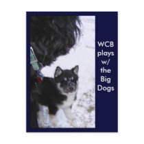 Pup Postcards
