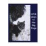 Pup Postcards