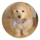 Pup Sticker