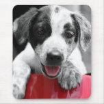Pupp mousepads