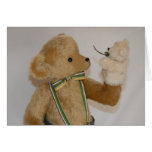 Puppet Bear Cards