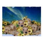 PUPPIES AND FLOWERS (GOLDEN RETRIEVERS) POSTCARDS