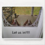 Puppies at the Back Door, Let us in!!!! Mouse Mat