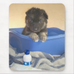 Puppies Bath Time Mousepad