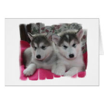 Puppies Card