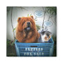 Puppies For Sale Fridge Magnet