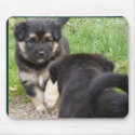 puppies mousepad
