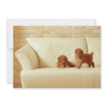 Puppies On The Sofa Custom Invites