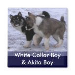 puppies playing magnets, customisable
