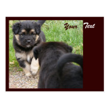 Puppies Postcard, Customisable