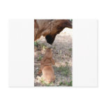 puppy and german sheperd carte postale