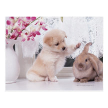 Puppy and Lop Ear Rabbit Postcard