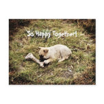 Puppy & Bone postcards