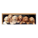 Puppy Bookmark, Plus business cards
