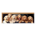 Puppy Bookmark, Plus business cards
