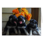 Puppy Card