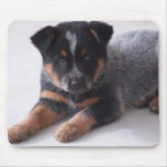 Puppy Dog Eyes mousepads