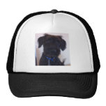 Puppy dog trucker hats