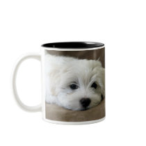 Puppy Eyes Maltese Custom Mug