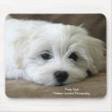 Puppy Eyes mousepads