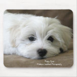 Puppy Eyes mousepads