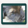 puppy eyes mousepad