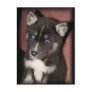 puppy_eyes postcards
