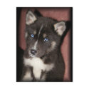 puppy_eyes postcards