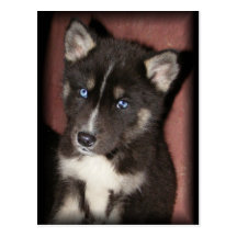 puppy_eyes postcards