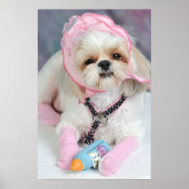 Puppy Girl Posters