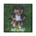 PUPPY, GOT LOVE? FRIDGE MAGNETS