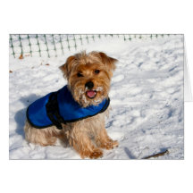 Puppy Greetings! Card