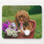 Puppy in a Basket Mousepad