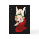 "Puppy In A Stocking" greeting card