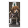 Puppy in Mexico Custom Rack Cards