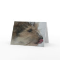 Puppy in the Snow cards