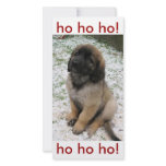 Puppy in the snow photo cards