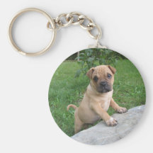 puppy key chain