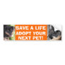 Puppy & Kitty Bumper Sticker