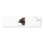 Puppy Lab bumper stickers