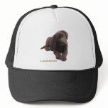 Puppy Lab hats