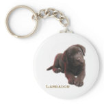 Puppy Lab keychains
