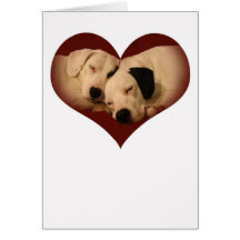 Puppy Love Card