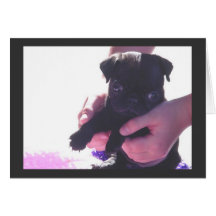 Puppy Love II Greeting Cards
