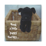 Puppy Love magnets